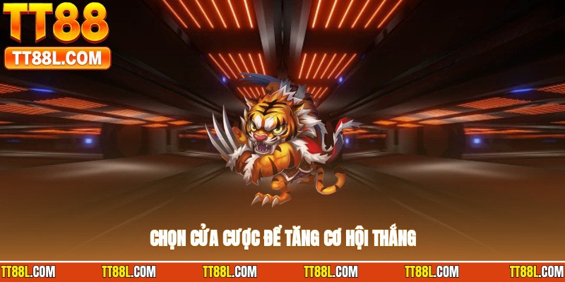 Chọn cửa cược để tăng cơ hội thắng